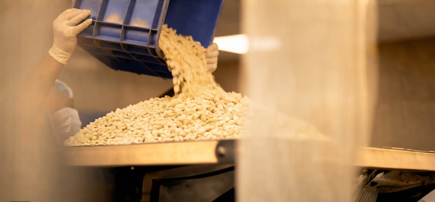 Kernels poured onto the grading table.