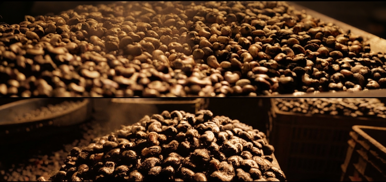 Raw cashew nuts, ready for conditioning.